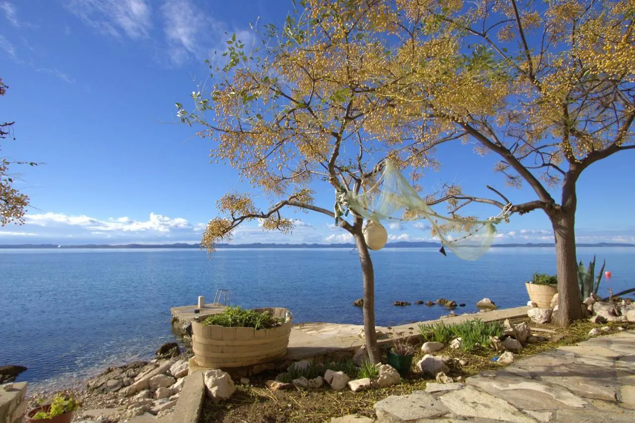 Old Fisherman'S House Banj