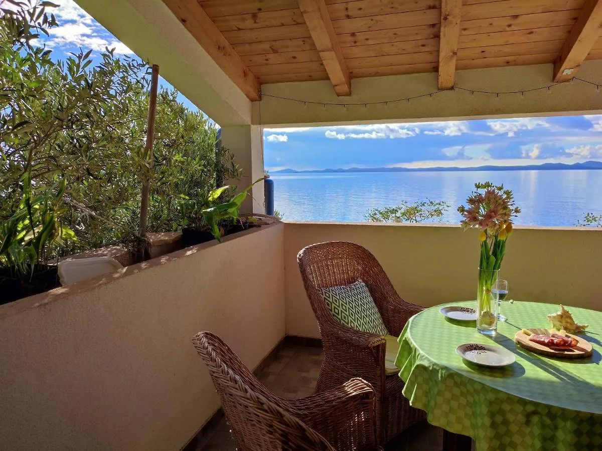 Old Fisherman'S House Banj